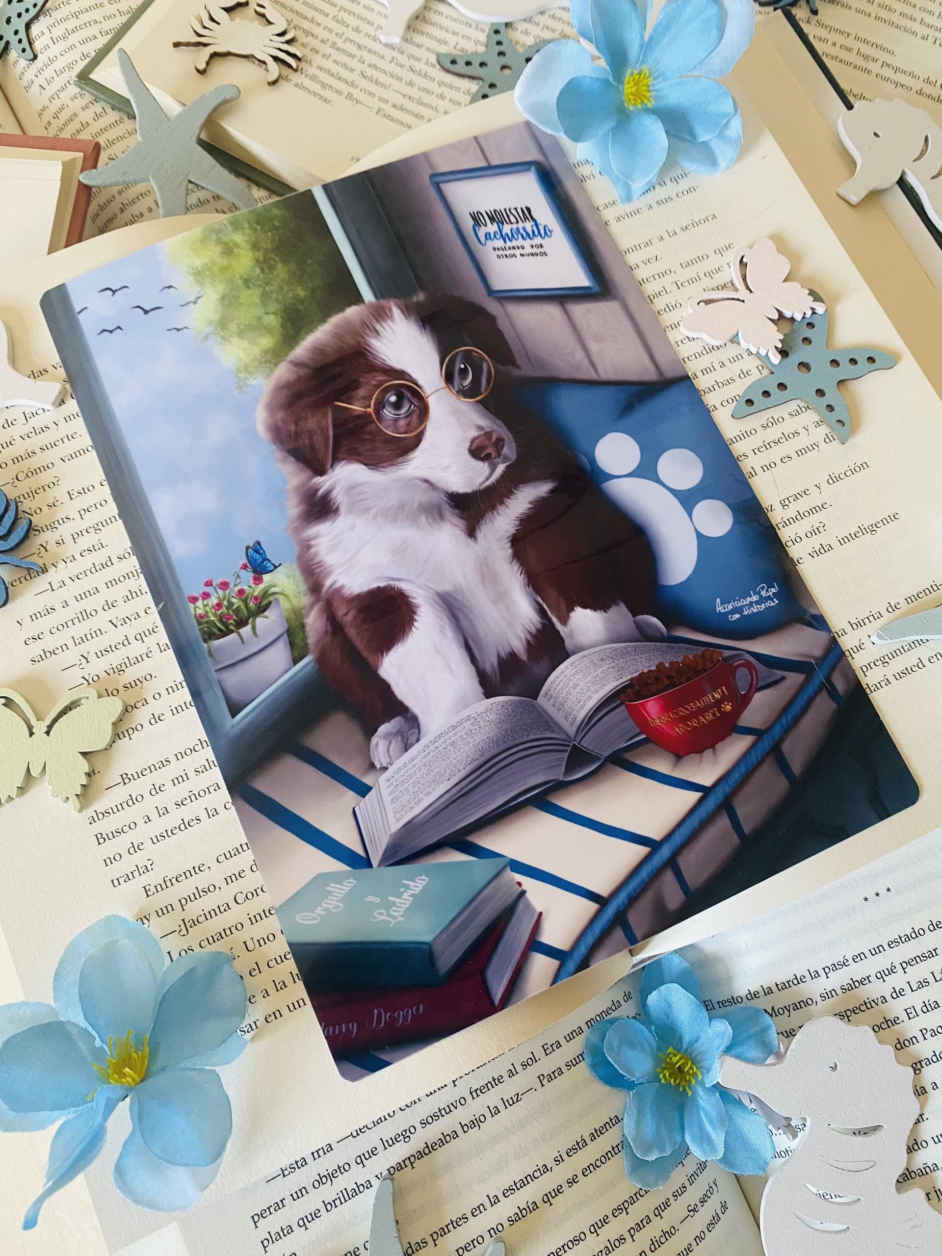 Funda libro solapa artesanal Cachorrito Lector - Acariciando Papel con  Historias